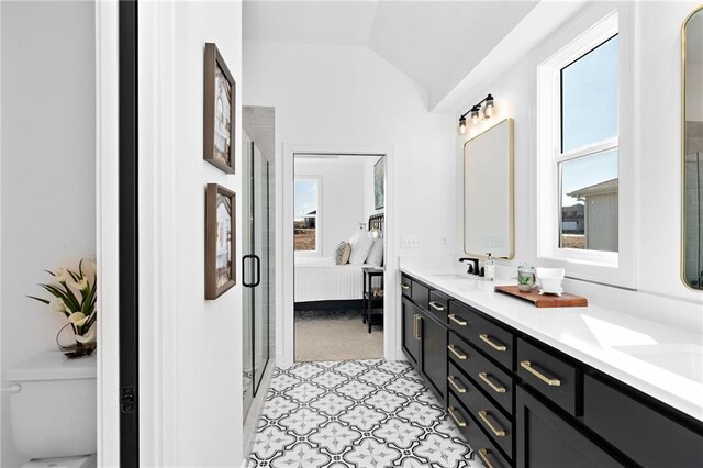 bathroom featuring vanity, vaulted ceiling, and a shower with shower door