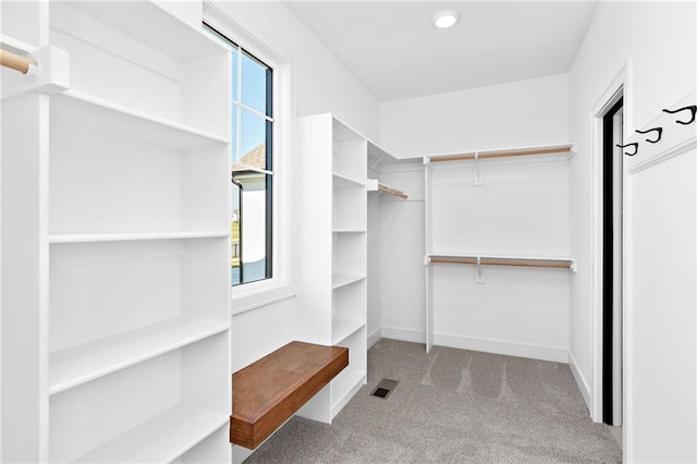 spacious closet featuring light colored carpet