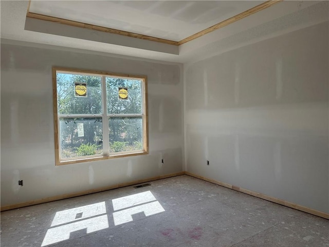 unfurnished room featuring a raised ceiling and a wealth of natural light