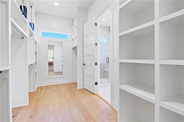 spacious closet with hardwood / wood-style flooring