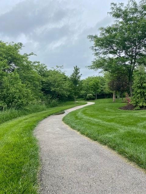 17421 Gillette St, Overland Park, KS 66221 - view of property's community featuring a forest view