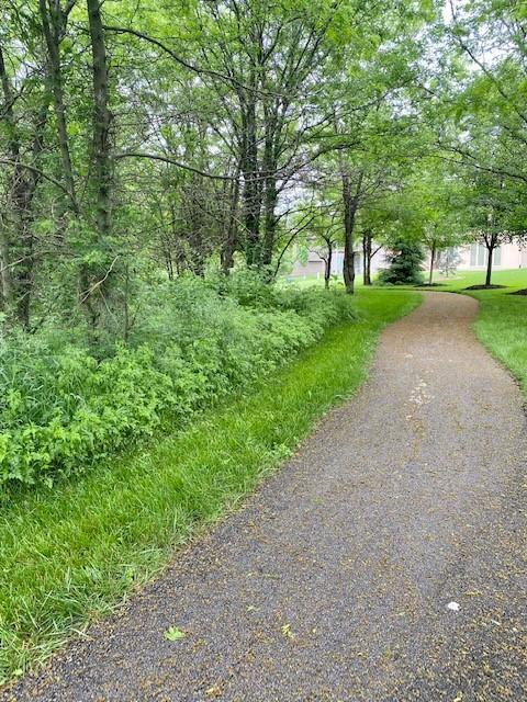 17421 Gillette St, Overland Park, KS 66221 - view of asphalt driveway
