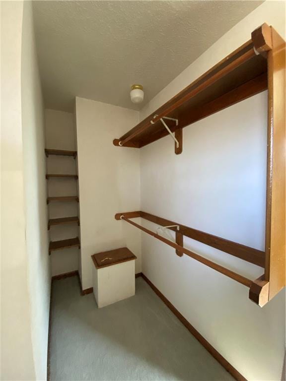 spacious closet with carpet floors