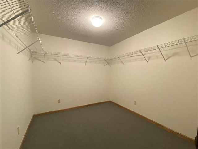 walk in closet featuring carpet