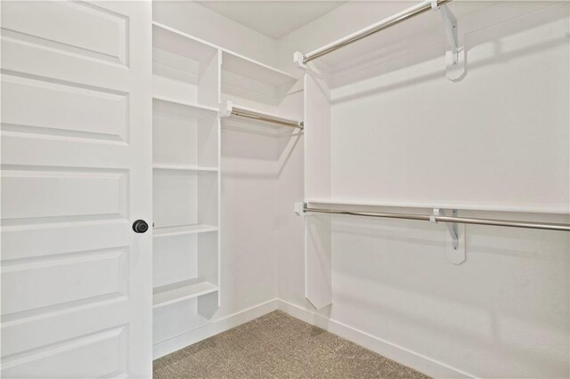 spacious closet with light carpet