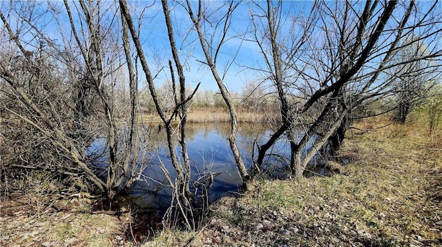 view of water feature