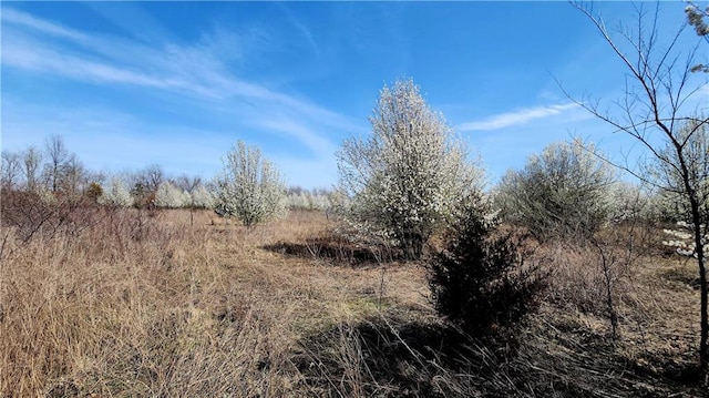 view of nature with a rural view