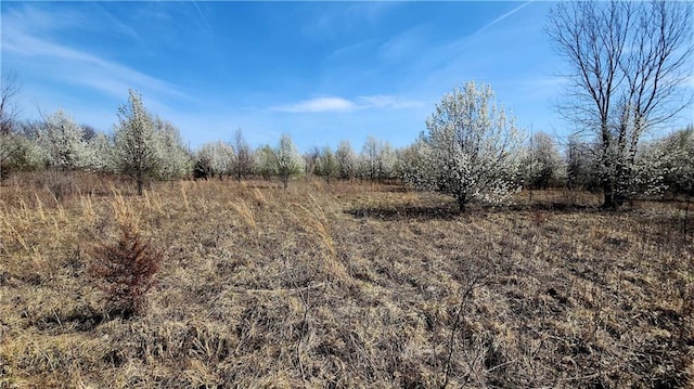 view of nature with a rural view