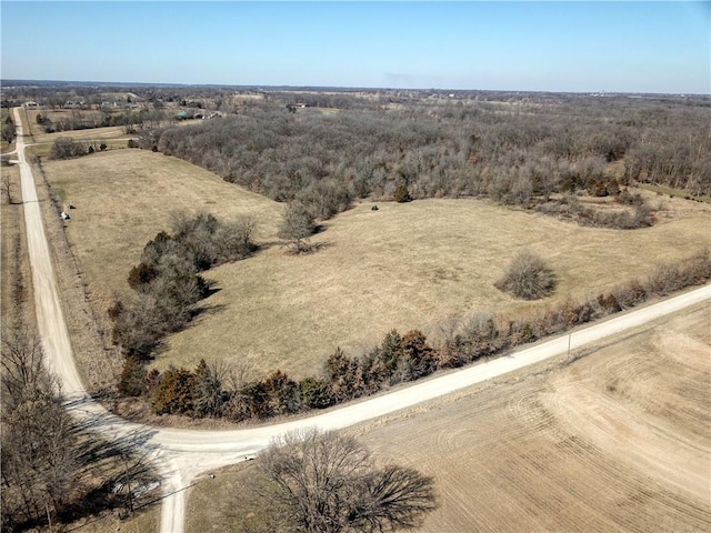 view of bird's eye view