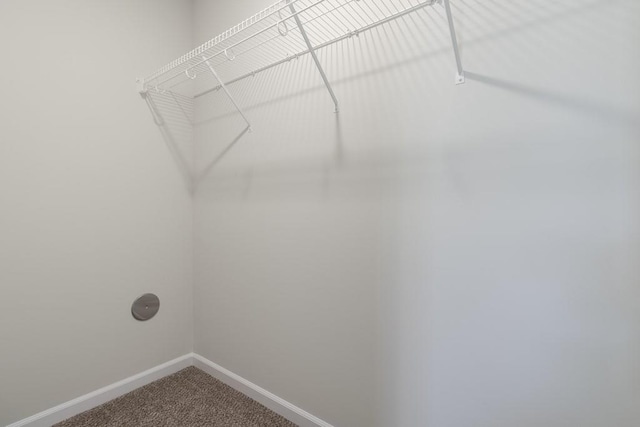 walk in closet featuring carpet