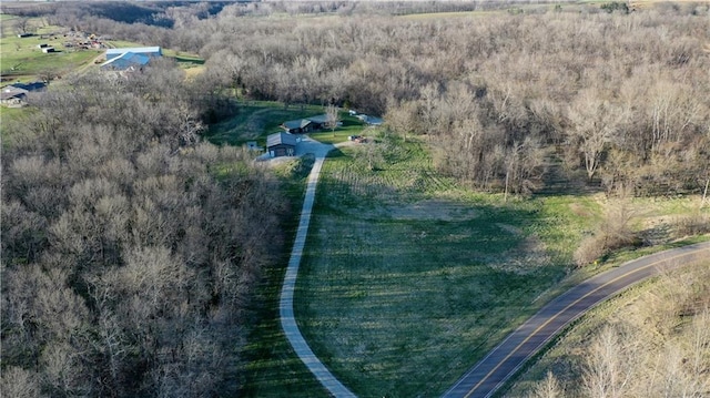 view of bird's eye view