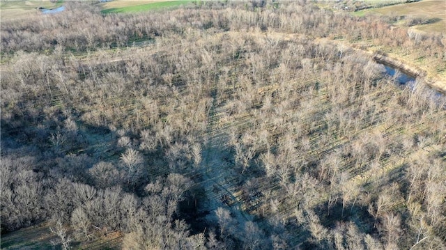 view of bird's eye view