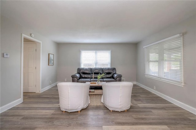 living room featuring hardwood / wood-style floors