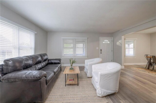 living room featuring light hardwood / wood-style floors