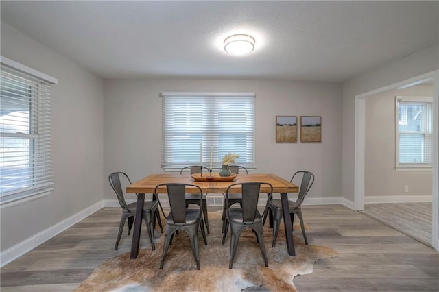 dining area featuring dark hardwood / wood-style flooring and a healthy amount of sunlight