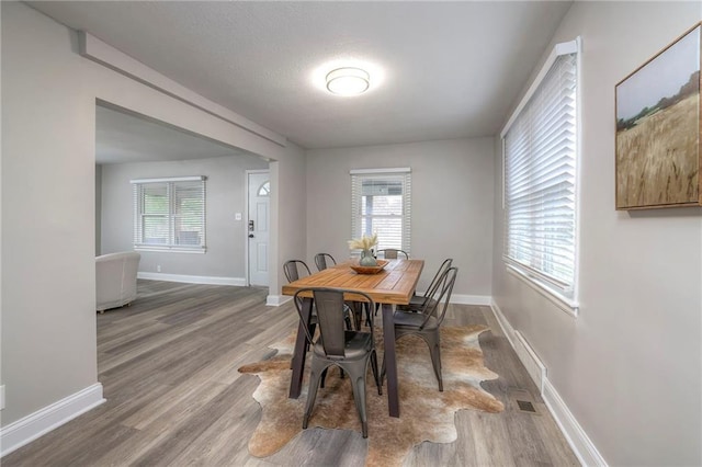 dining space featuring plenty of natural light and wood-type flooring