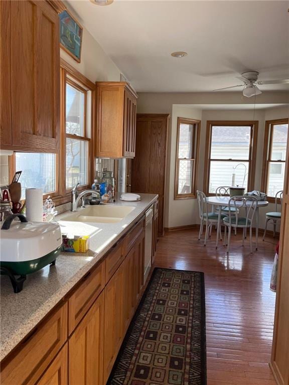 kitchen featuring sink, a wealth of natural light, ceiling fan, and dark hardwood / wood-style flooring