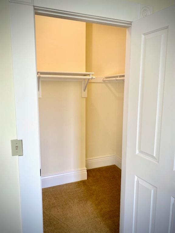 view of closet