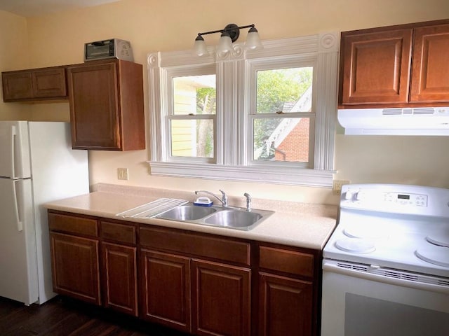 kitchen featuring stove, white fridge, dark wood-type flooring, and sink