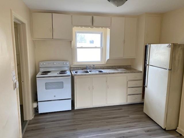 kitchen with white appliances, dark hardwood / wood-style floors, and sink