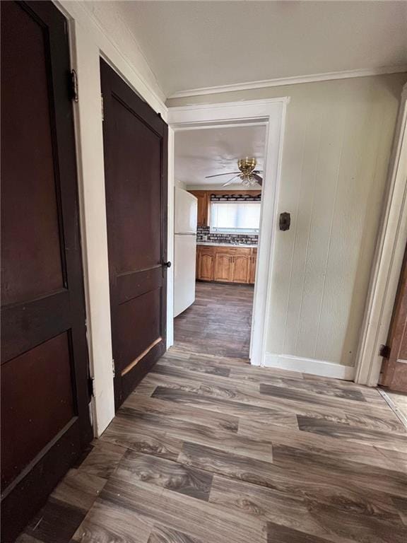 corridor with dark hardwood / wood-style flooring and ornamental molding