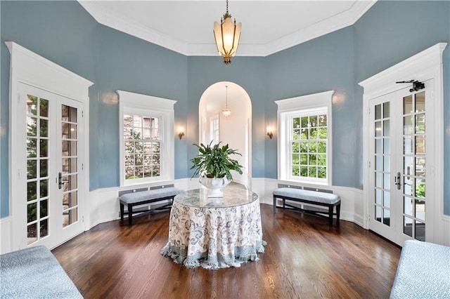 living area featuring dark wood-type flooring, french doors, and a wealth of natural light