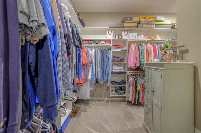 walk in closet with light colored carpet