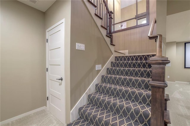 stairway featuring carpet floors