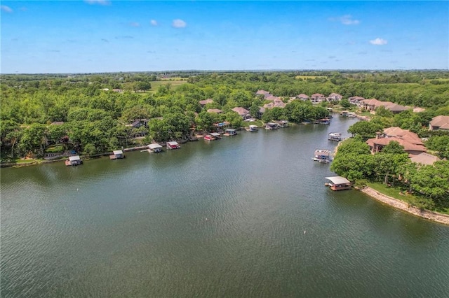 417 Southshore Dr, Lake Winnebago, MO 64034 - photo 84