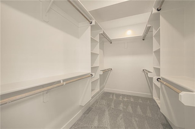 16615 NW 124th St, Platte City, MO 64079 - walk in closet with carpet flooring