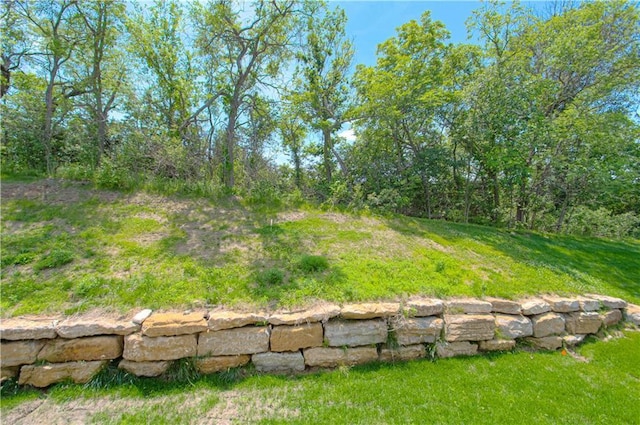 16615 NW 124th St, Platte City, MO 64079 - view of yard