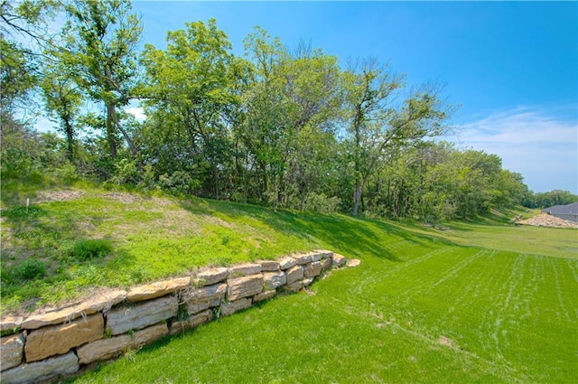 16615 NW 124th St, Platte City, MO 64079 - view of grassy yard