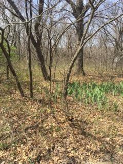 22 Wallace Dr, Lacygne, KS 66040