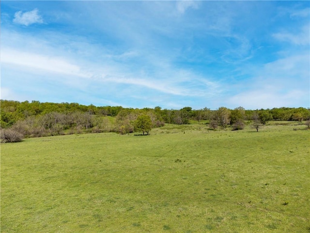 Listing photo 3 for TBD NW 701st Rd, Centerview MO 64019