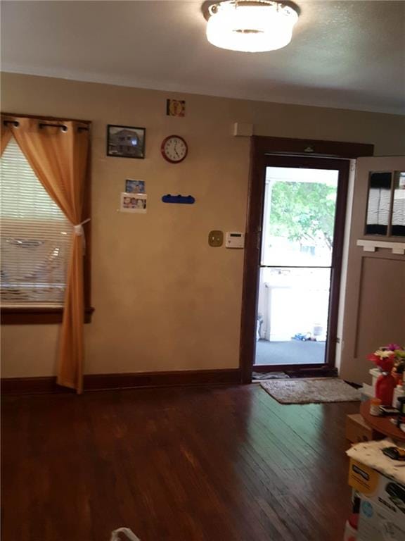 doorway with dark hardwood / wood-style flooring