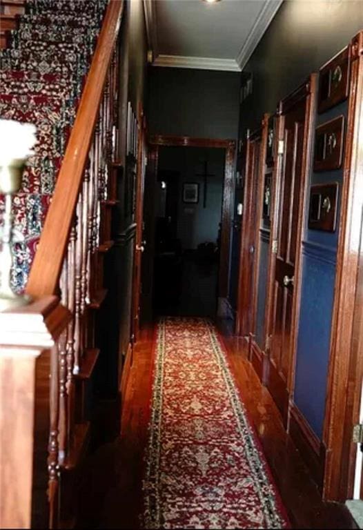 corridor with ornamental molding and dark hardwood / wood-style floors