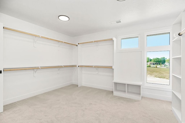 walk in closet featuring light carpet