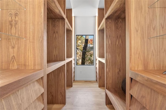 spacious closet featuring light wood-type flooring