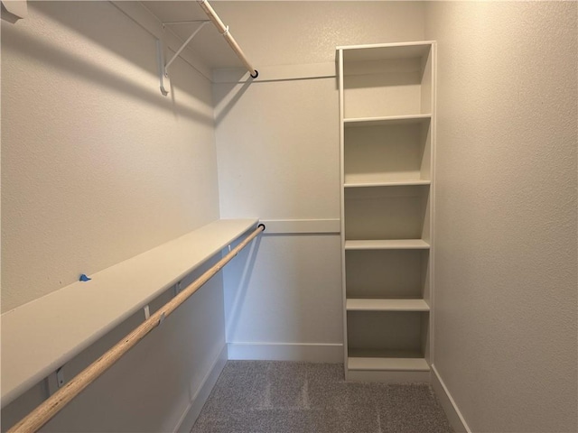 spacious closet with dark carpet