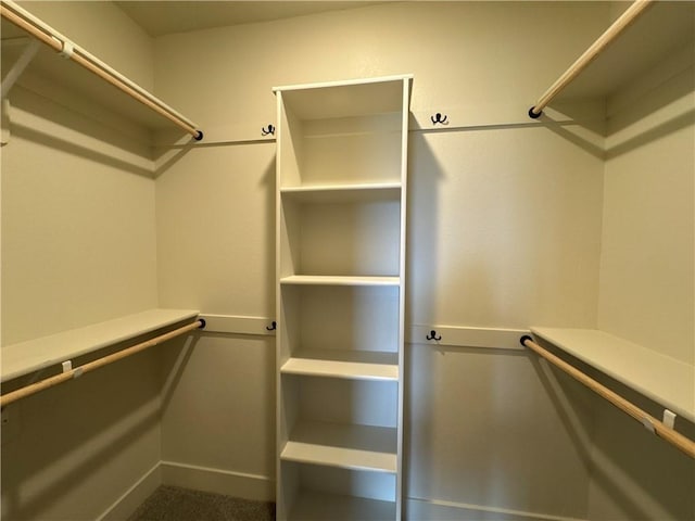 view of walk in closet