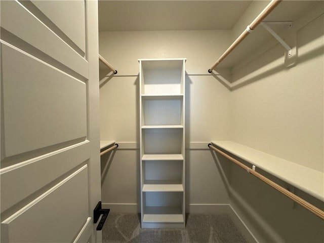 walk in closet with dark carpet