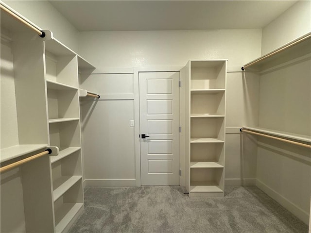 spacious closet featuring carpet flooring