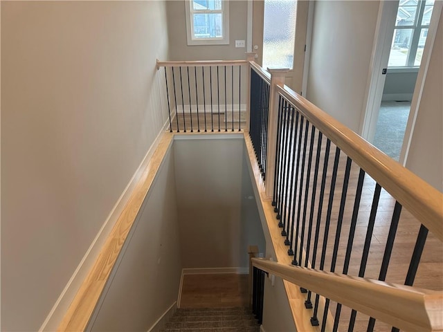 stairway with hardwood / wood-style flooring