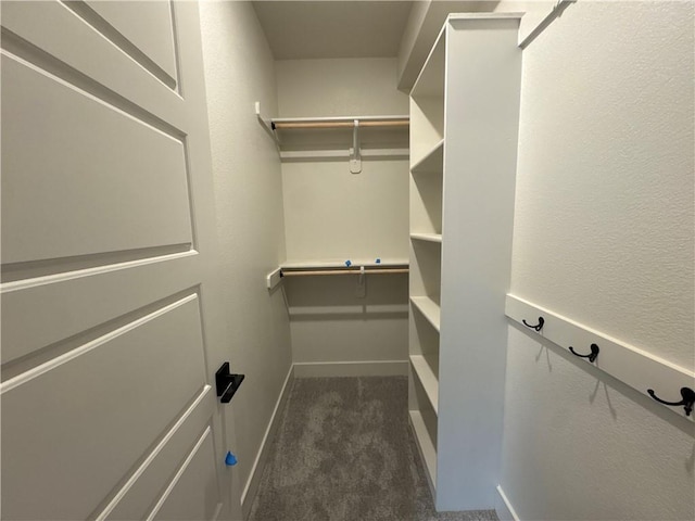 walk in closet featuring dark colored carpet