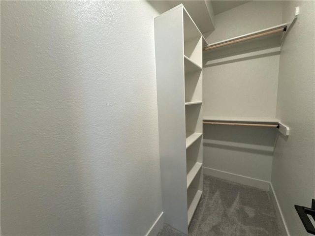 walk in closet featuring dark carpet