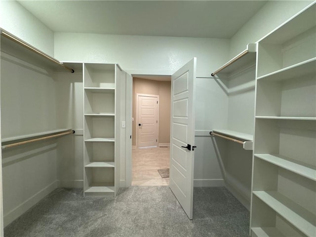 spacious closet featuring carpet flooring