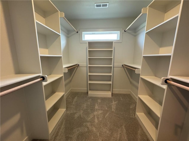 walk in closet with dark carpet