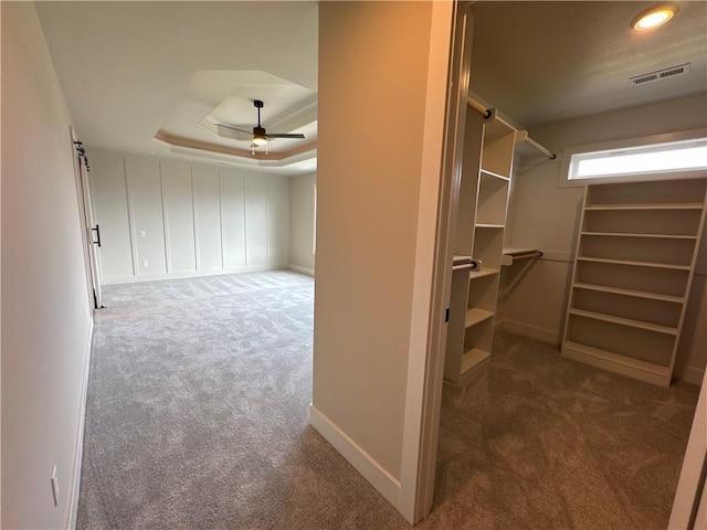 spacious closet with carpet floors, ceiling fan, and a tray ceiling