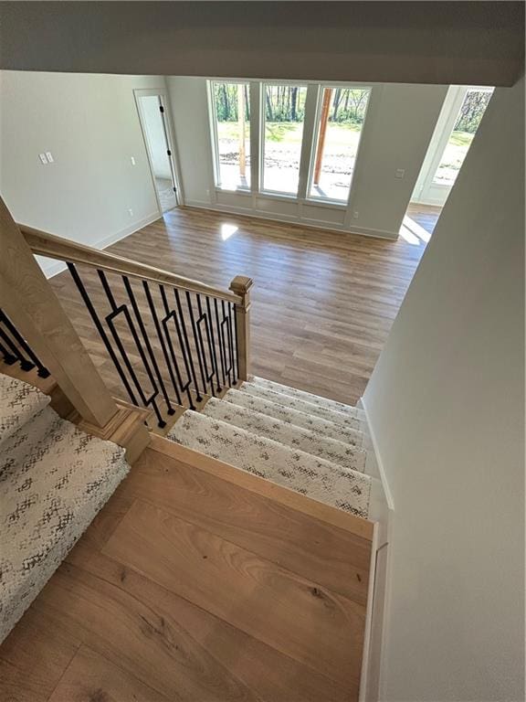 staircase featuring wood-type flooring