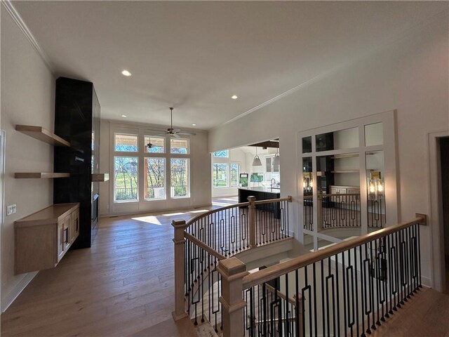 interior space featuring hardwood / wood-style flooring, ceiling fan, and crown molding